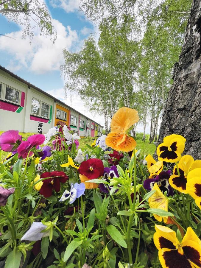 Koza I Brzoza, Domki Z Kontenerow Piechowice  Luaran gambar